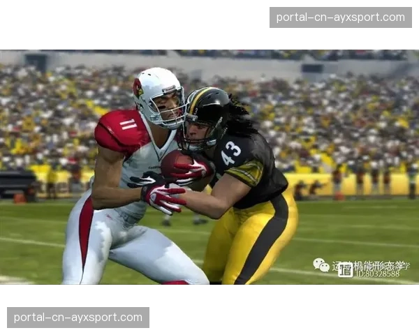 通讯:球场外的斗士——一位前职业球员转型脑震荡公益倡导者的故事